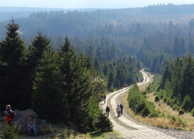 Brocken - ehemalige innerdeutsche Grenze in Richtung Torfhaus