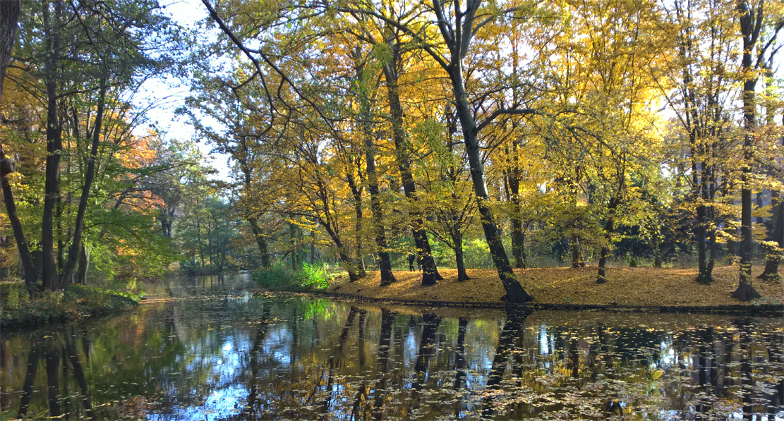 Bunte Natur - Park am Schloss Charlottenburg - Oktober 2015