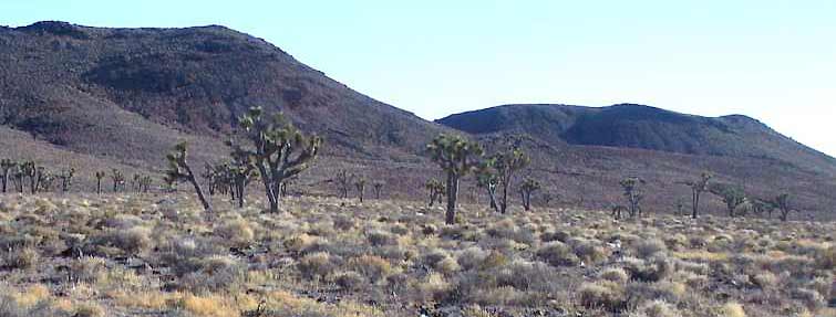 Beginning of the Death Valley