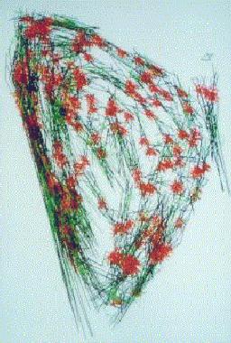 Einfache polare Transformation des LAYOUTs, Vietnam