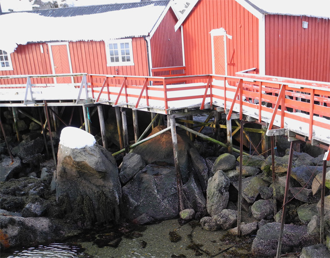 Nusfjord bei Ebbe