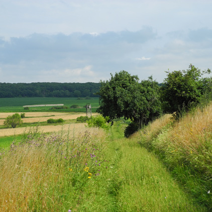 Uckermark