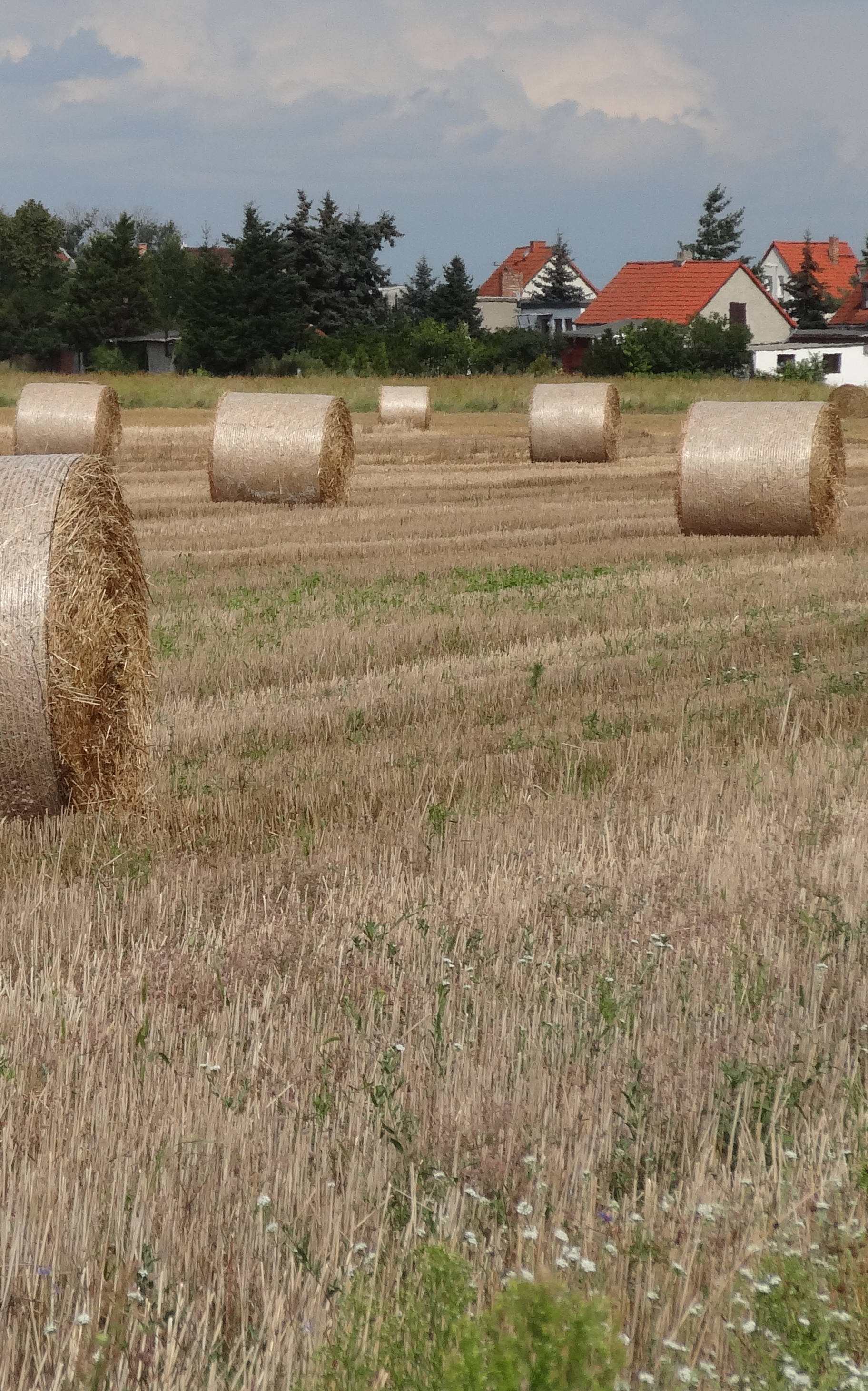 Testbild HX20V
