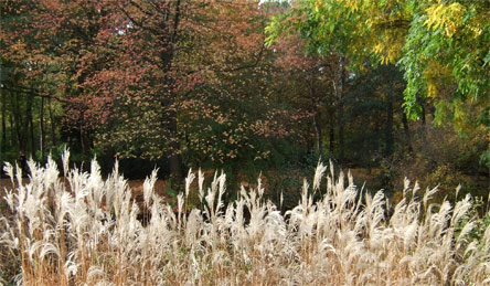 Herbstfarben