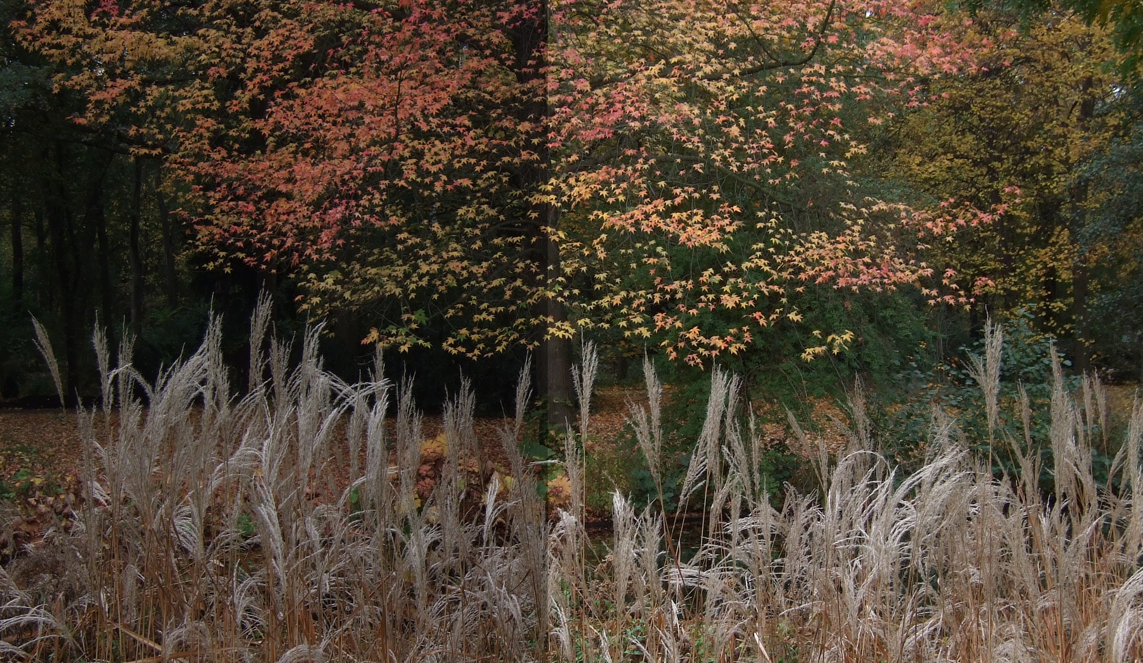 Herbstfarben