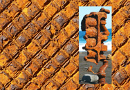 Rost