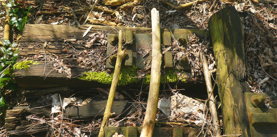 Natur-Park Schöneberger Südgelände, Berlin