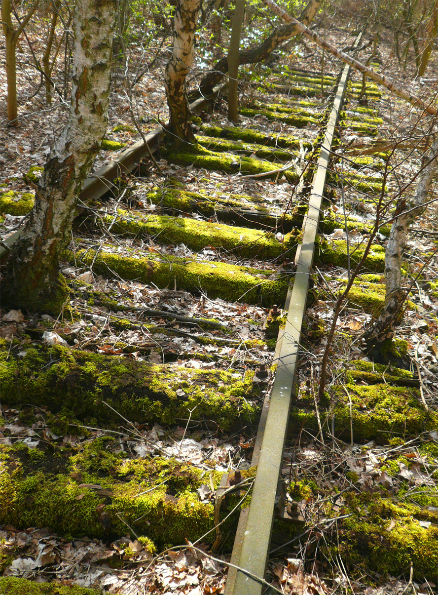 Natur-Park Schöneberger Südgelände, Berlin