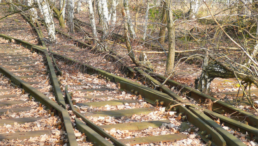 Natur-Park Schöneberger Südgelände, Berlin