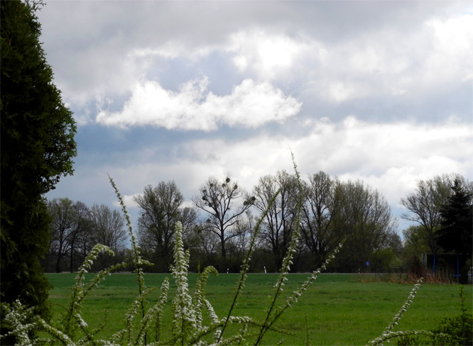 Schätzchen ihre Aussicht