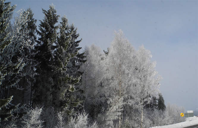 Auf dem Weg nach Malung, Schweden