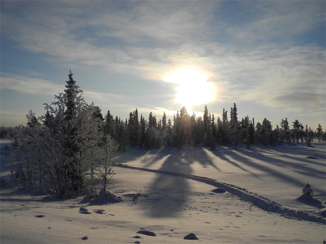 Morgensonne auf der E45 nach Jokkmokk