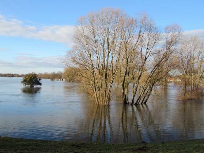 Hochwasser an der Elbe bei Pretzien - Foto von Schätzchen