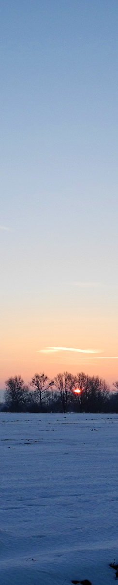 Kalter Morgen Sunrise 05. Januar 8:35