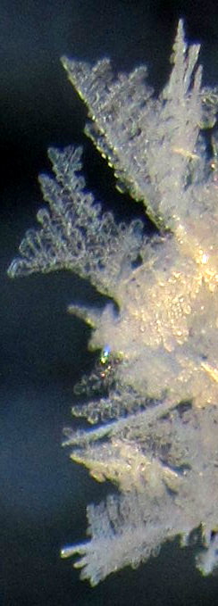 Schneekristall fotografiert von Schtzchen