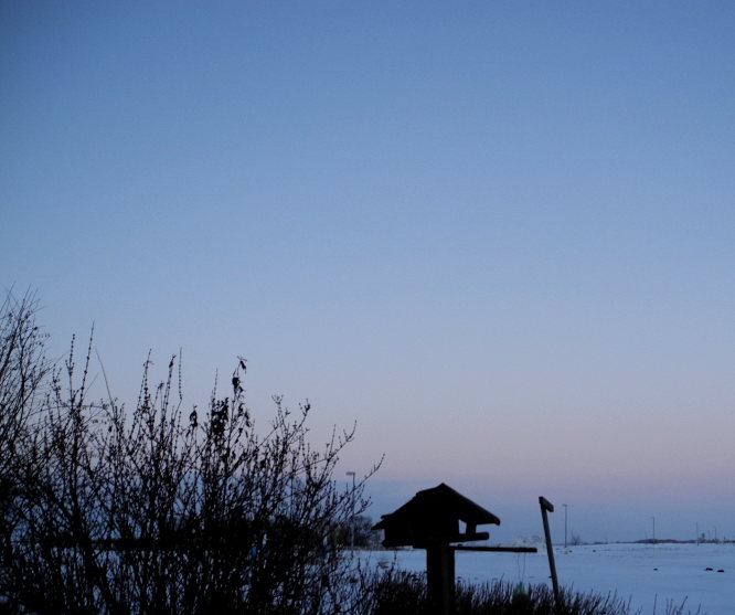 Neujahr 2011 in Gommern