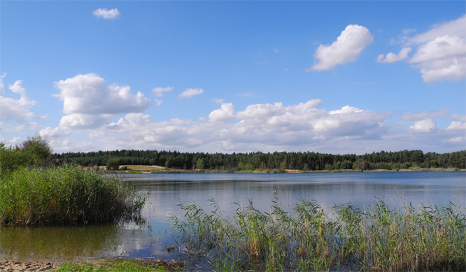 Sommer an Schatzi sein Badesee