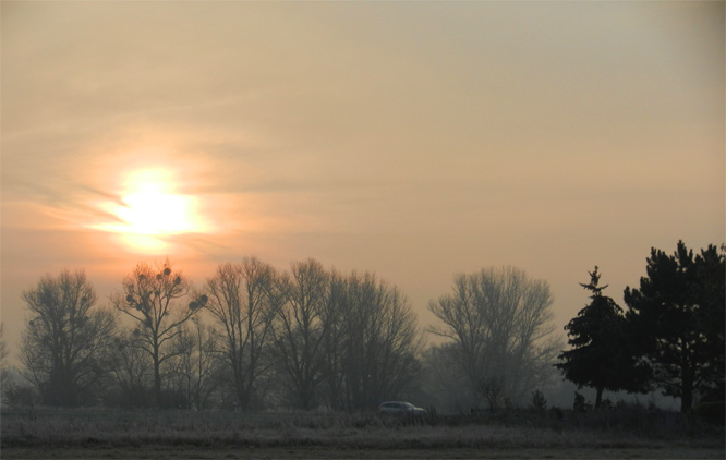 Kalter Morgen in Gommern