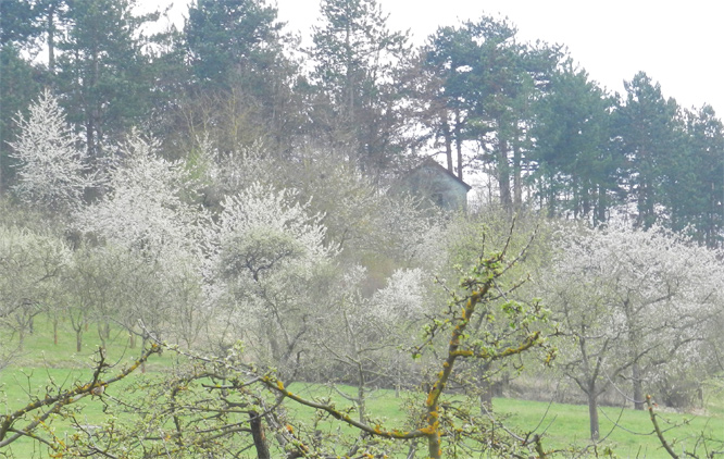 Übernachtung in Lauda