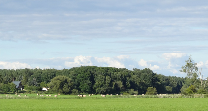Landschaft um Dornburg