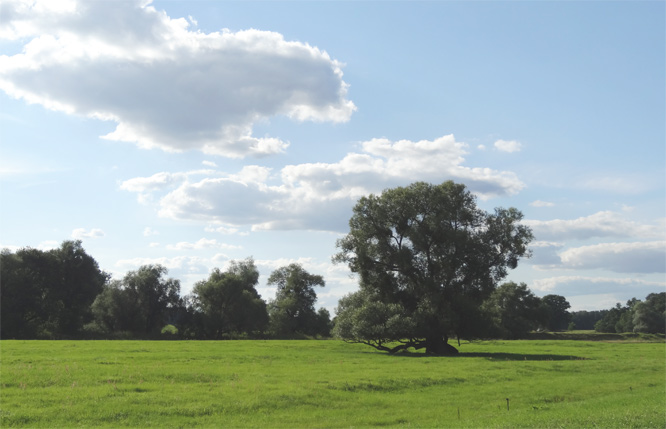 Landschaft um Dornburg
