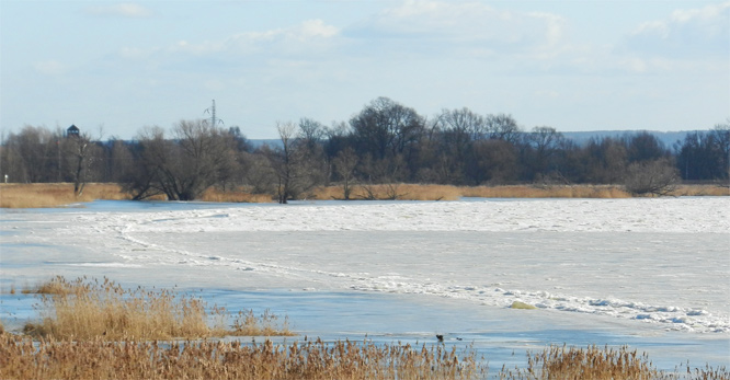 Küstrin - Eisgang an der Oder am 20. Februar 2012