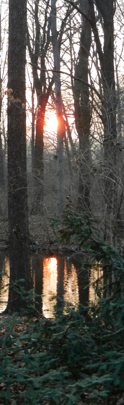 Sunset im Tiergarten, 17.03.2012