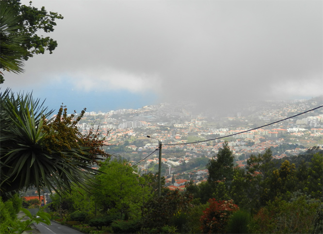 Funchal vom Tropical Garden aus