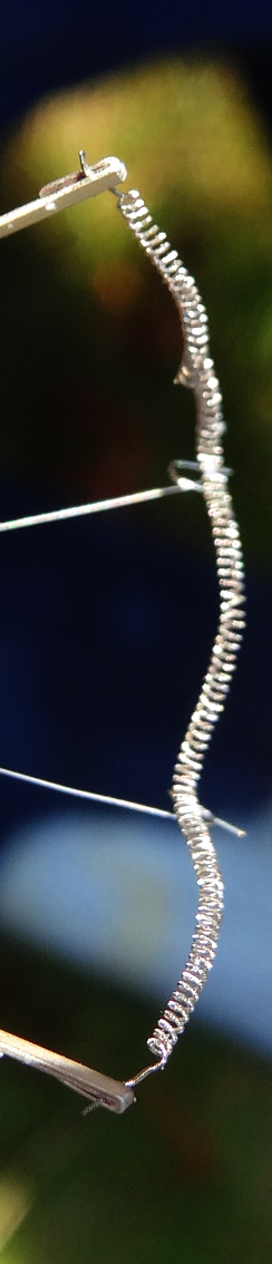 Glühfaden einer Glühlampe