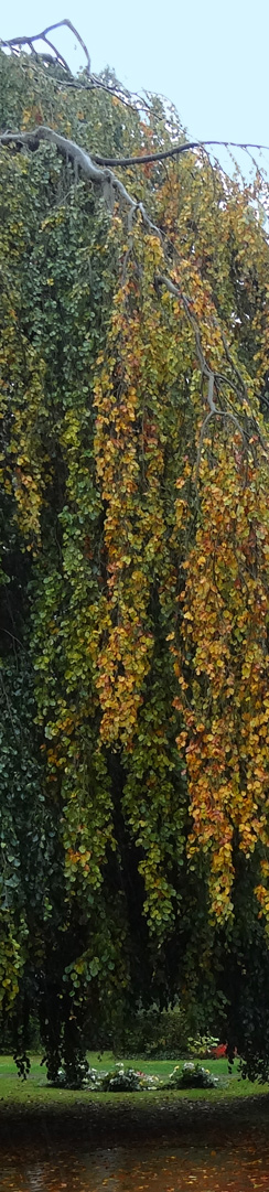 Friedhof in Bergstedt, HH