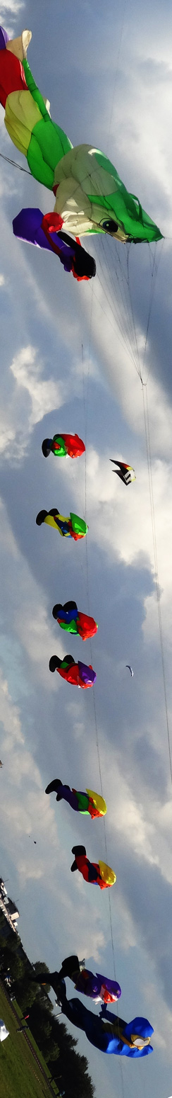 Drachen auf dem Tempelhofer Feld