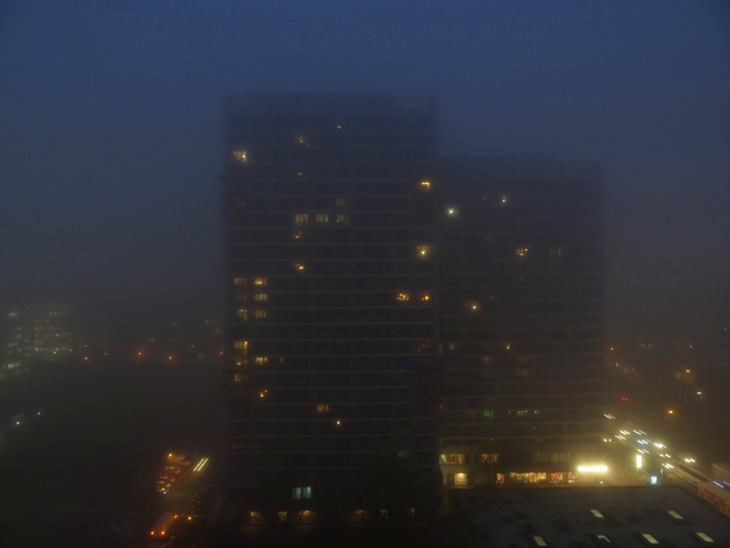 Nebel und Nieselregen - Finden Frau Gräfin nicht auch