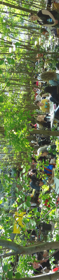 Prinzessinnengärten am Moritzplatz