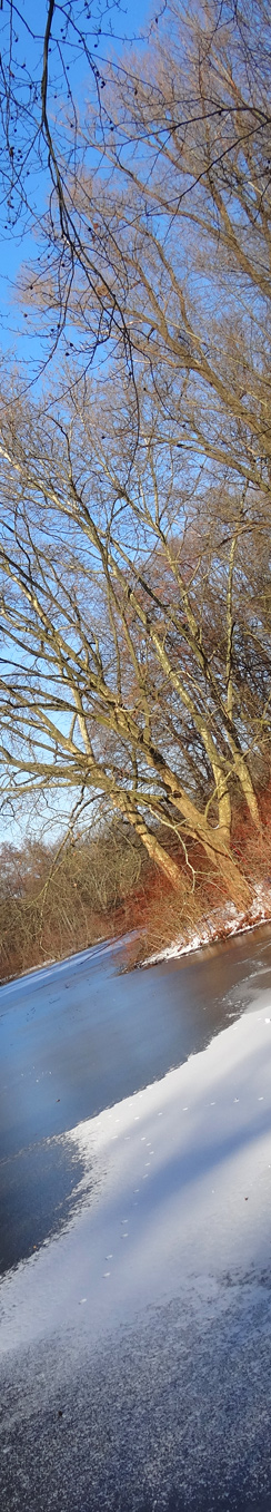 16. März im Tiergarten