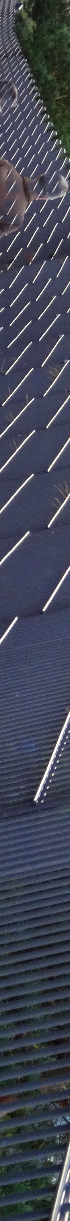 Gitter bei Espenhain & Pomßen