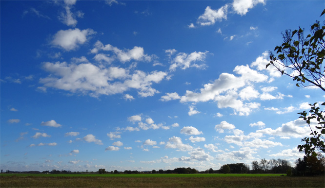 Landschaft bei Gommern