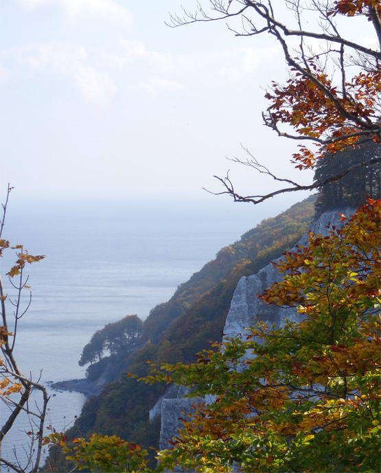 Sonne am Königsstuhl