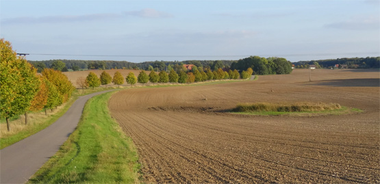 Hof Hagen bei Langenhagen
