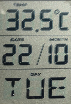 Sommertemperatur im Oktober auf dem Balkon