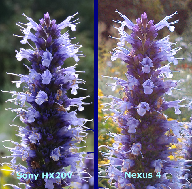 Vergleich Nexus 4 mit HX20V