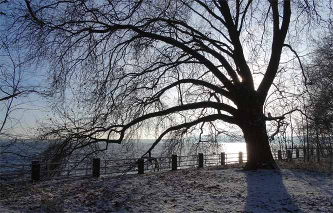 Friedrichshagen, am Tunnel, Müggelsee