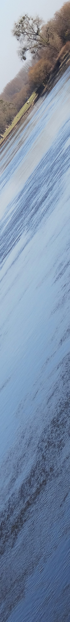 Die Elbe beim Mückenwirt