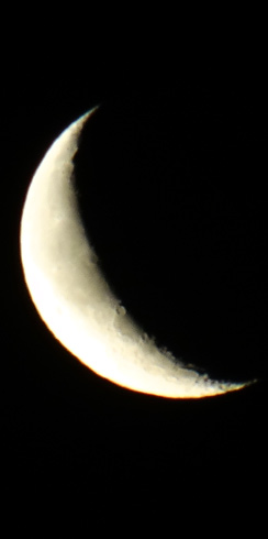 Mond in Phase xx, 25.02.2014, 4:50 h
