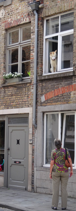 Begegnung in Brügge