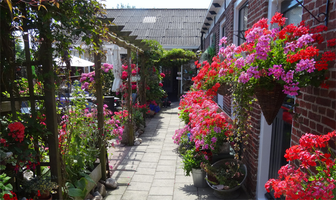 Bed & Breakfast in Wons