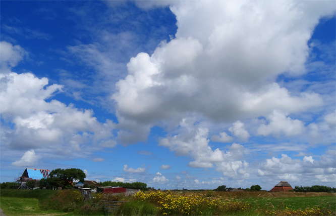 Fryslan - Landschaft auf Texel