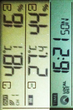 Temperaturen wie in Australia auf meinem Balkon - Wunderbar!