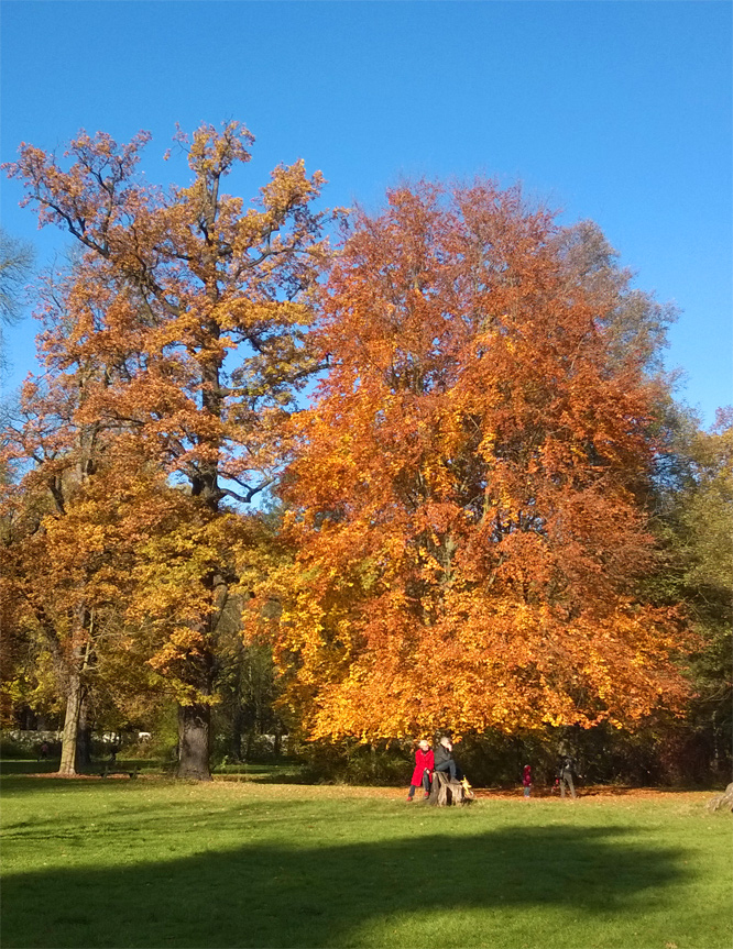 Indian Summer im Schlosspark Niederschönhausen