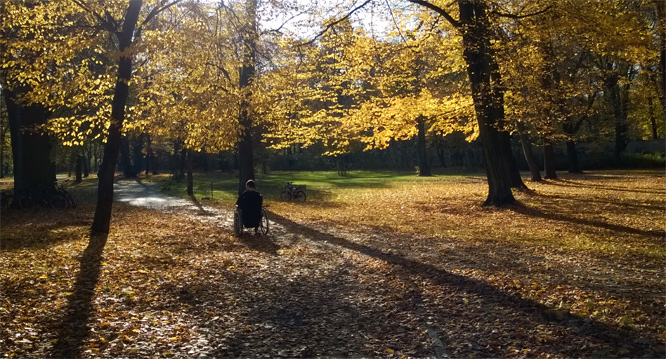 Indian Summer im Schlosspark Niederschönhausen -Spaziergang  mit Peter ...