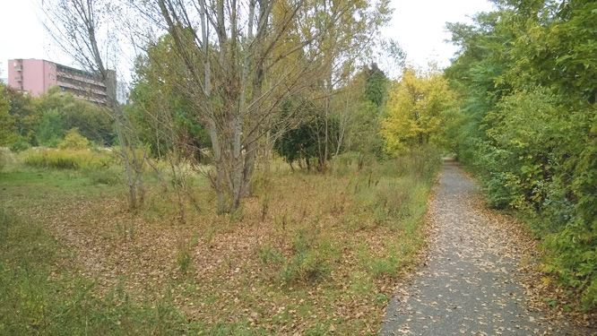 Todesstreifen an der Alten Jakobstraße